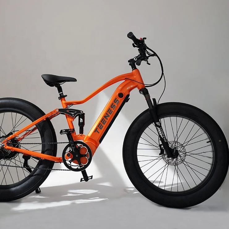 2022 Fast Speed 750W Electric Bike 26