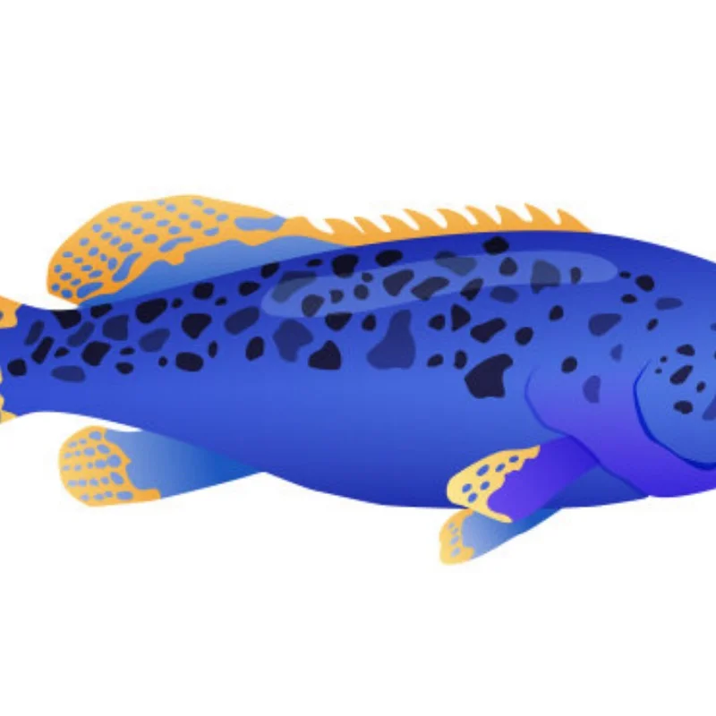 

RC Part 65mm Wheel Tyres Tires 12mm Hex Rim Durable Rubber for 1/10 1/12 1/14 RC Car Racing Competitable Wltoys 144001