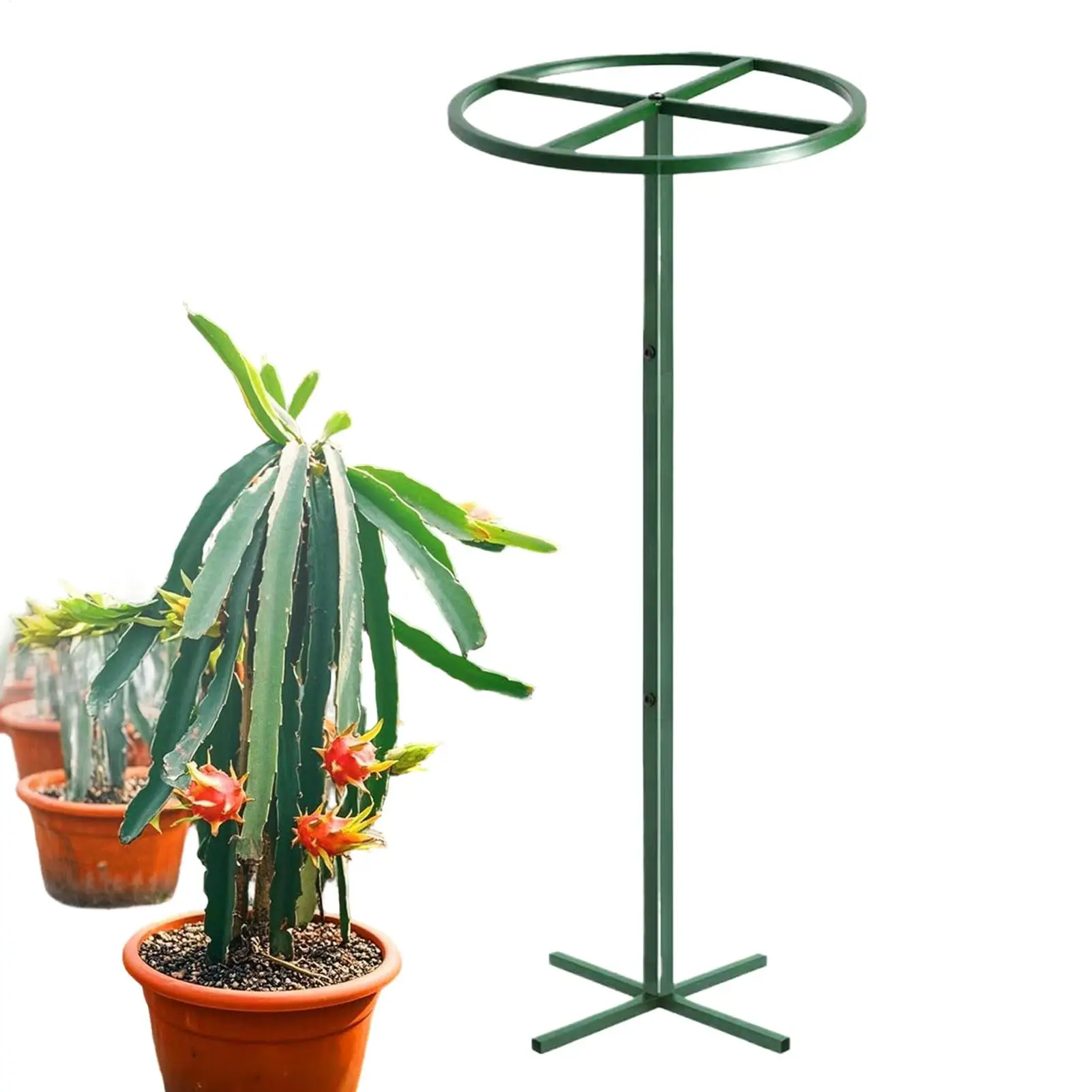 Dragon Fruit Trellis Vertical Support Adjustable Cactus Stand Cucumber Vine Climbing Shelf Rose Holder For Vine Garden Accessory