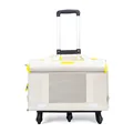 Yellow round model