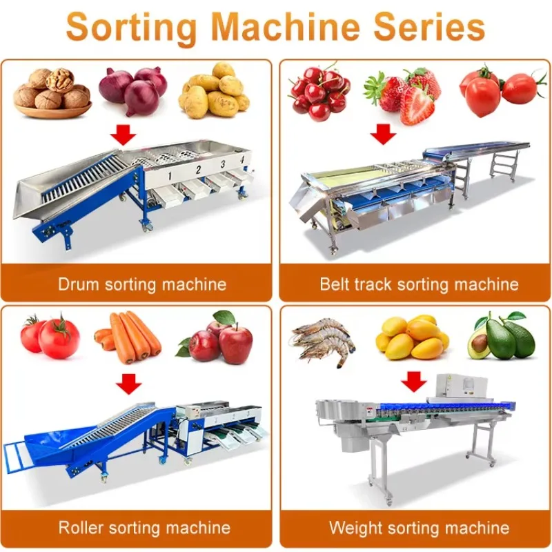 Onion Potato Grader Machine Melon Citrus Size Grade Machine Garlic Nut Sort Machine Price