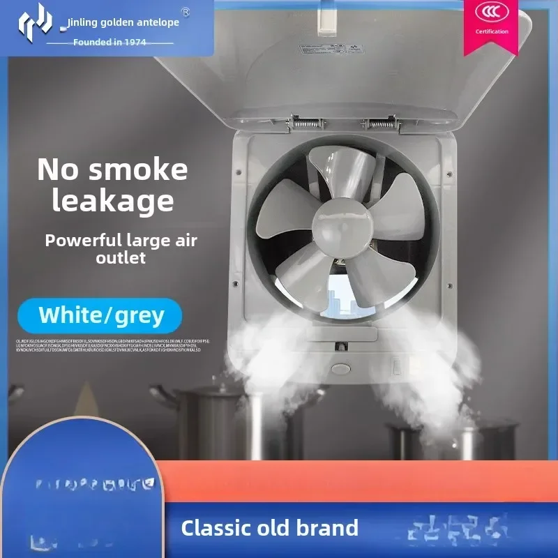 

220 В кухонный вытяжной вентилятор с масляным дымом, 10-дюймовый мощный вентилятор с непромокаемой крышкой