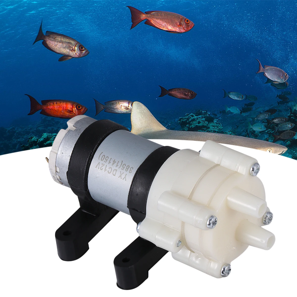 

Micro Fish Tank Pump Mini Water Aquarium Diaphragm DC Membrane Pump Small Pumps For Kettle Dispenser Non Slip High Quality