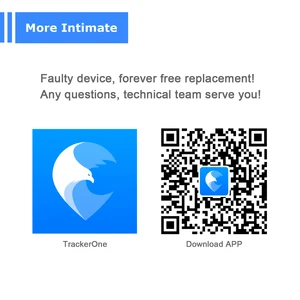 8 Hauptverkaufswagen Foguinho - №5