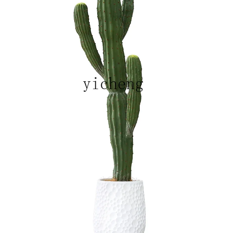 

Zf Plant Moroccan Cactus Potted Cactus Column Bonsai Floor Decoration Ornaments