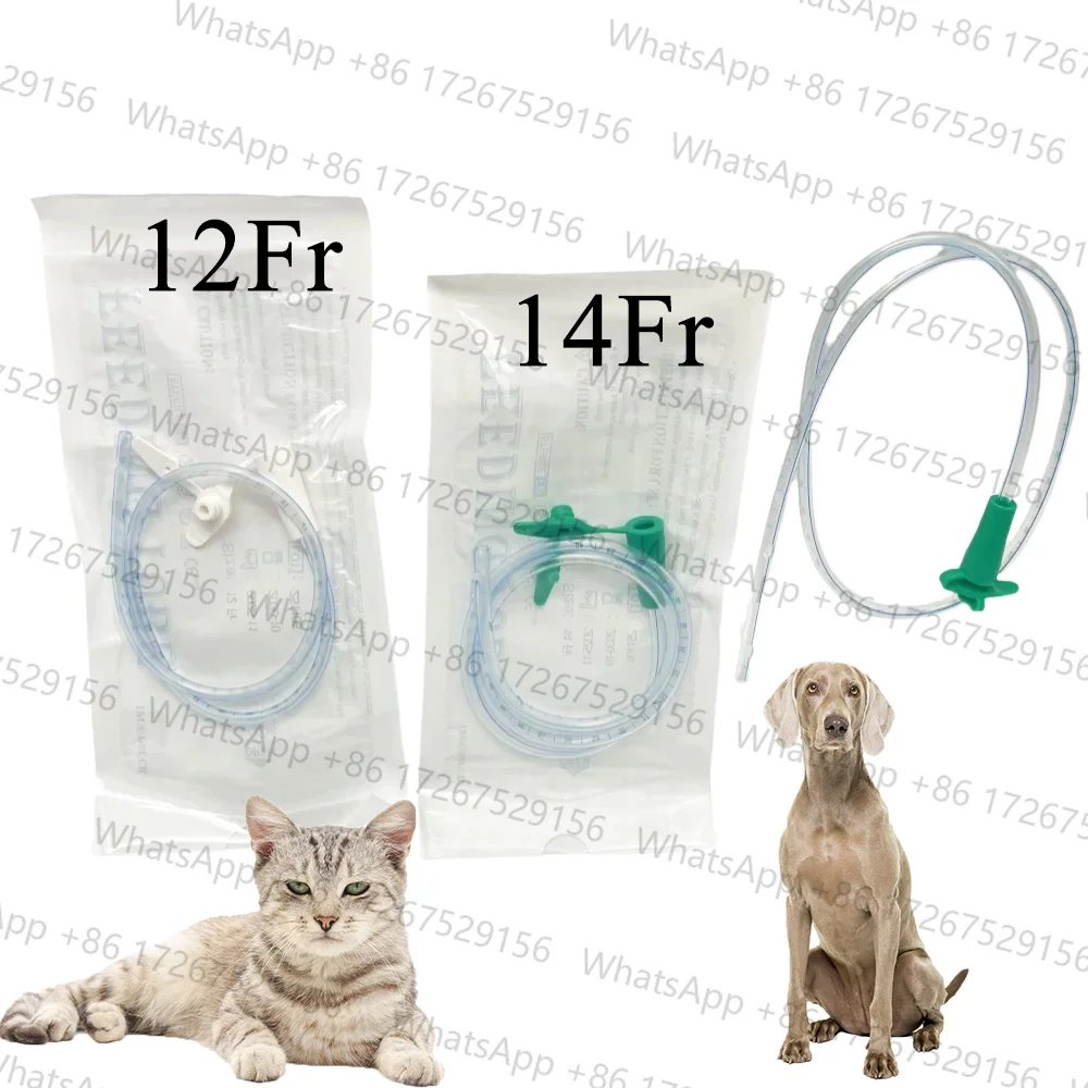 2PC/5PC/12PC Pet Cat Dog Small Animal Nasal Feeding Tube with Scale & X-Ray Visibility 12FR 14FR Stomach Tube Disposable Sterile