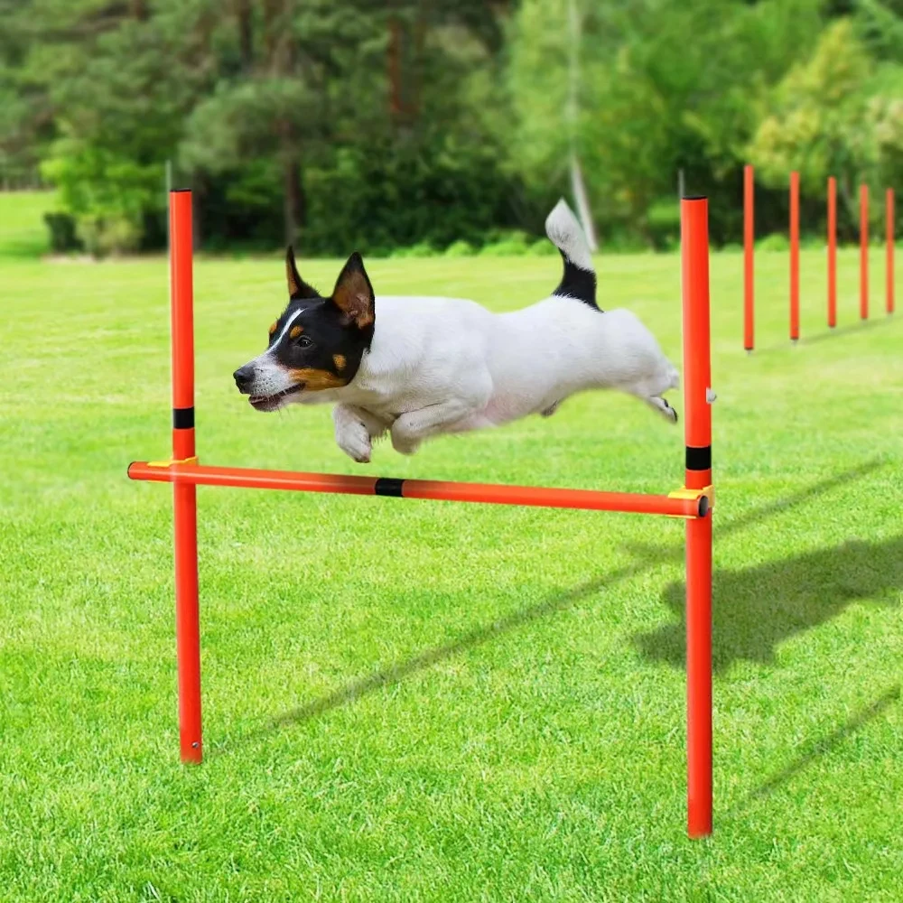 Dog Agility Weave Poles Portable Dog Training Poles Dog Agility Equipment Training Obstacle Course Beginner Kit Dog Agility Set