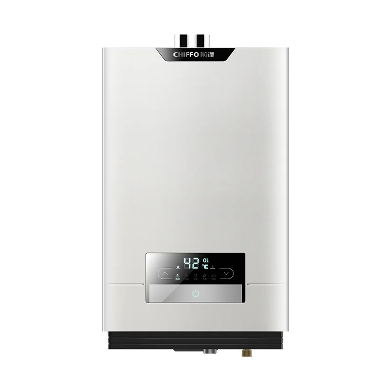 Wholesale 20L/24L High-Capacity Oxygen-Free Copper Tank Electric Gas Tankless LED App-Controlled Instant Smart Hot Water Heater