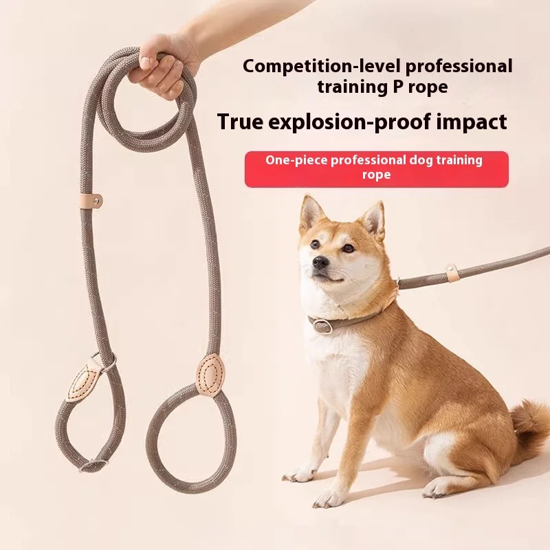 

Heavy-Duty Anti-Shock Dog Leash - P-Chain Rope for Medium/Large Breeds, No-Pull Escape-Proof Walking Lead