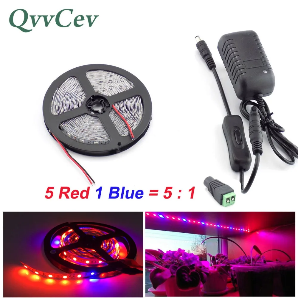 Qvvcev 2M 3M 5M Led plant Grow Strip Light 5 Red 1 Blue Waterproof for plant flower Lamp greenhouse Hydroponics + AC Adapter