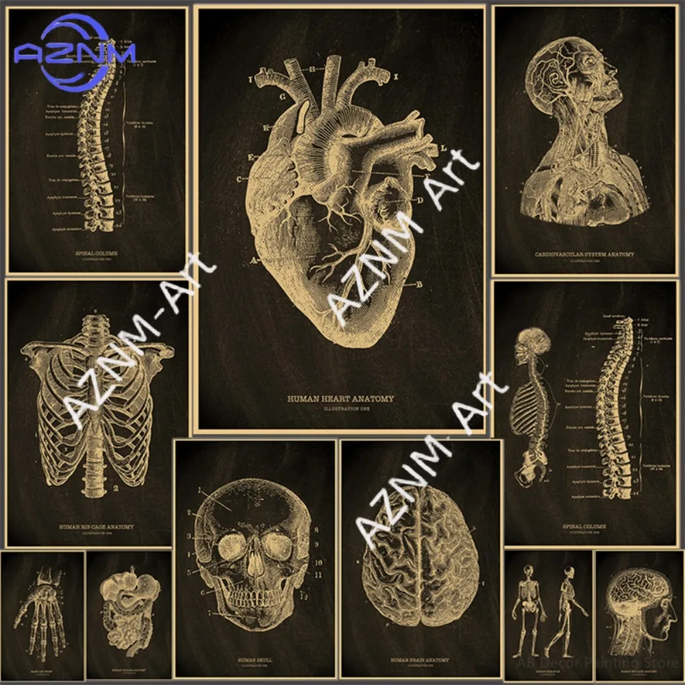 1 Stück, Herz/Schädel/Gehirn Kraftpapier-Poster, Tafel mit anatomischem Skelett, Vintage Heimdekoration, Medizinische Kunst für die Wand
