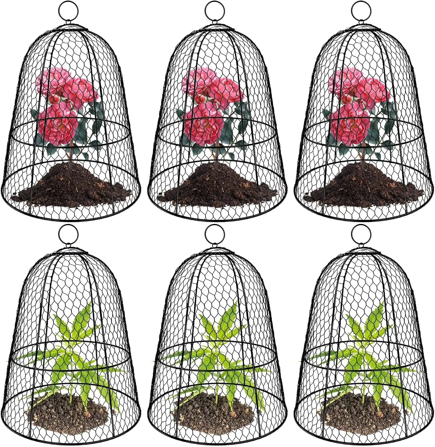 6 Pack Garden Chicken Wire Cloche,19