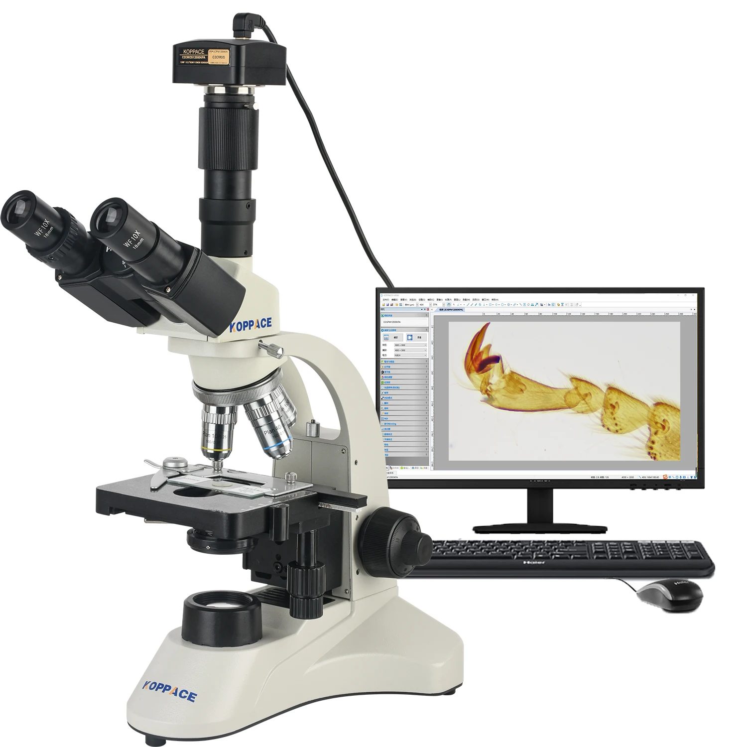 

KOPPACE 291X-7280X Trinocular Electron Biological Microscope 12 Million Pixels USB Camera