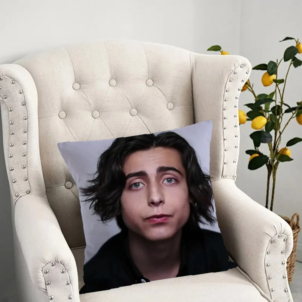 Aidan Gallagher Stardew Valley Decorative Pillows for Sofa Cushions Rainbow Six Siege 45 × 45 Cushion Cover Bratz Kanye Pillow