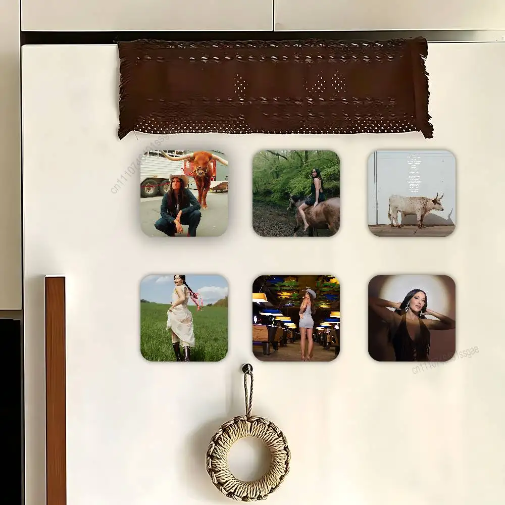 

Middle Nowhere Kacey Musgraves Square Decorative Fridge Magnets for Home Kitchen Office Whiteboard & Locker