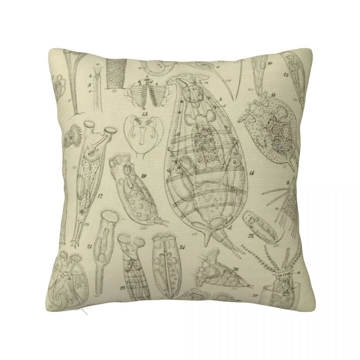 

Microscopic Biology Throw Pillow Marble Cushion Cover New year Cushion Cover Set Christmas Covers