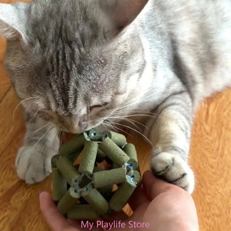 Cat Toy Mint Ball Toy Playing Catnip Licker Teething Chewing Toy Interactive Pet Indoor Entertainment Toy