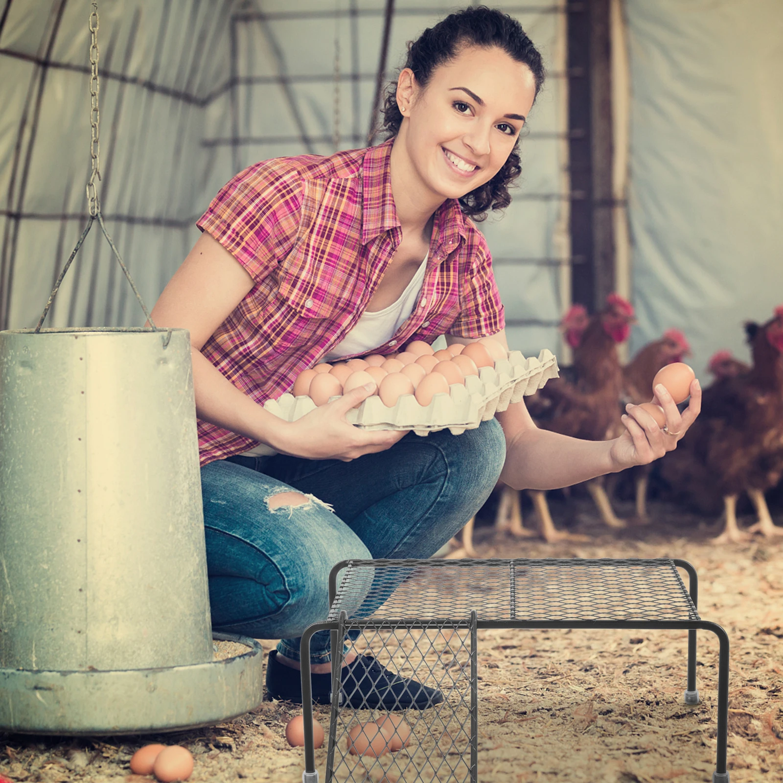 

1Set Chicken Coop Shelf Hollow Metal Mesh Platform Stable Feeding Rack Climbing Ladder Farmhouse Chicken Cage Supply