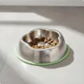Green Single Bowl