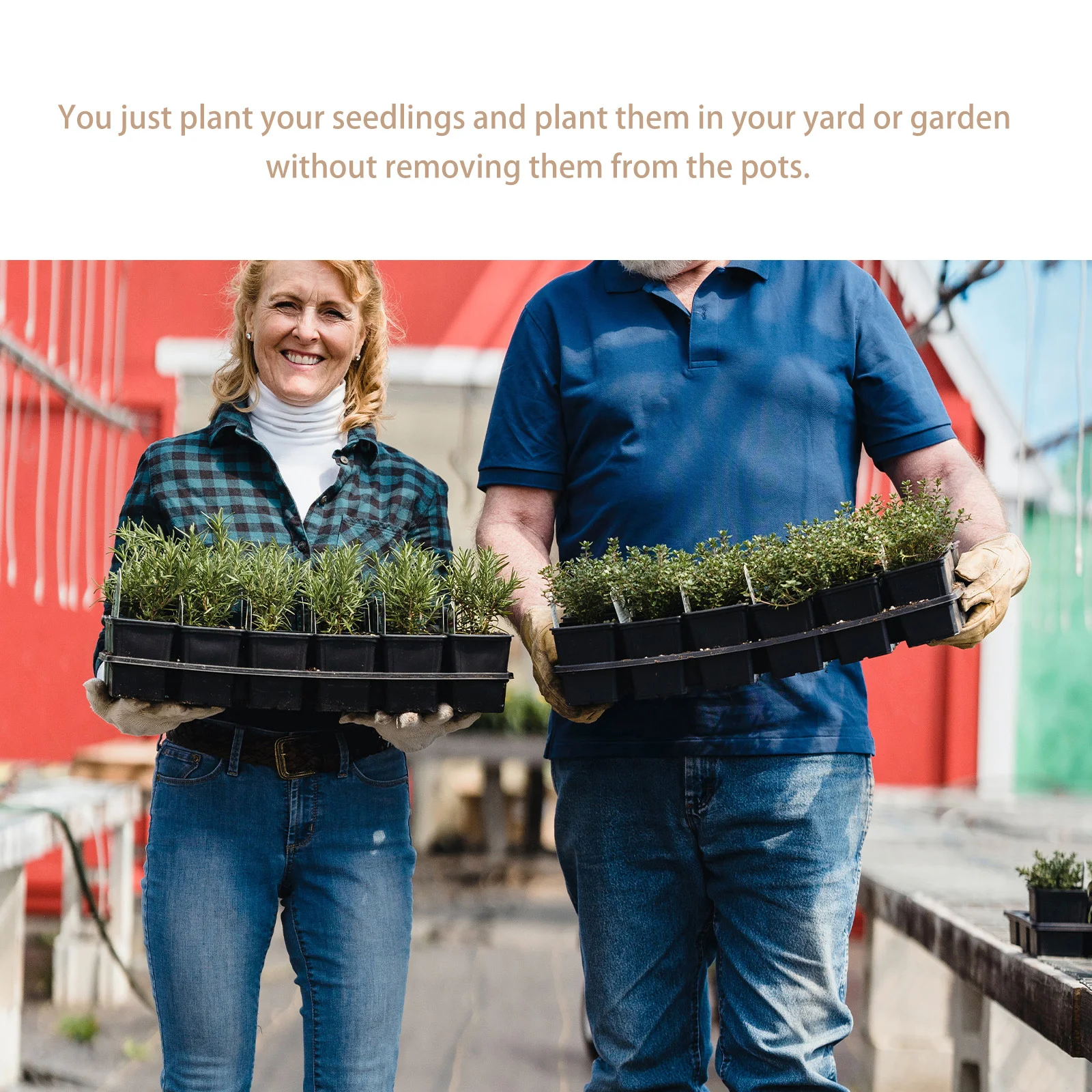 

2pcs 24 Hole Seedling High Quality Plastic Germination Boxes Garden Planting Supplies Waterproof Gardening Tray Plant Flower