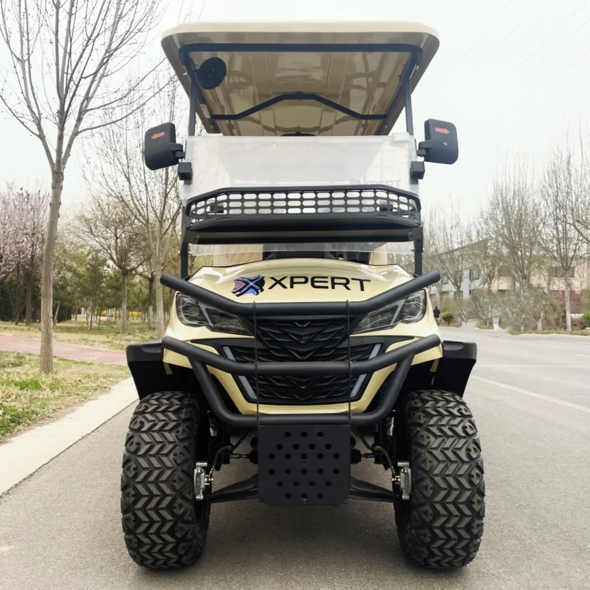

Custom New Energy Electric Golf Cart Aluminum Alloy Frame Bluetooth Speakers Street Legal Vehicles Adult Rapid Delivery