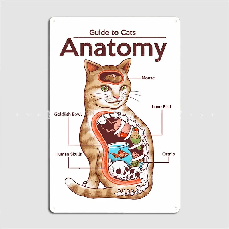 

Copy Of Anatomy Of A Cat Metal Sign Living Room Design Painting Décor Wall Mural Tin Sign PostersWall Decoration