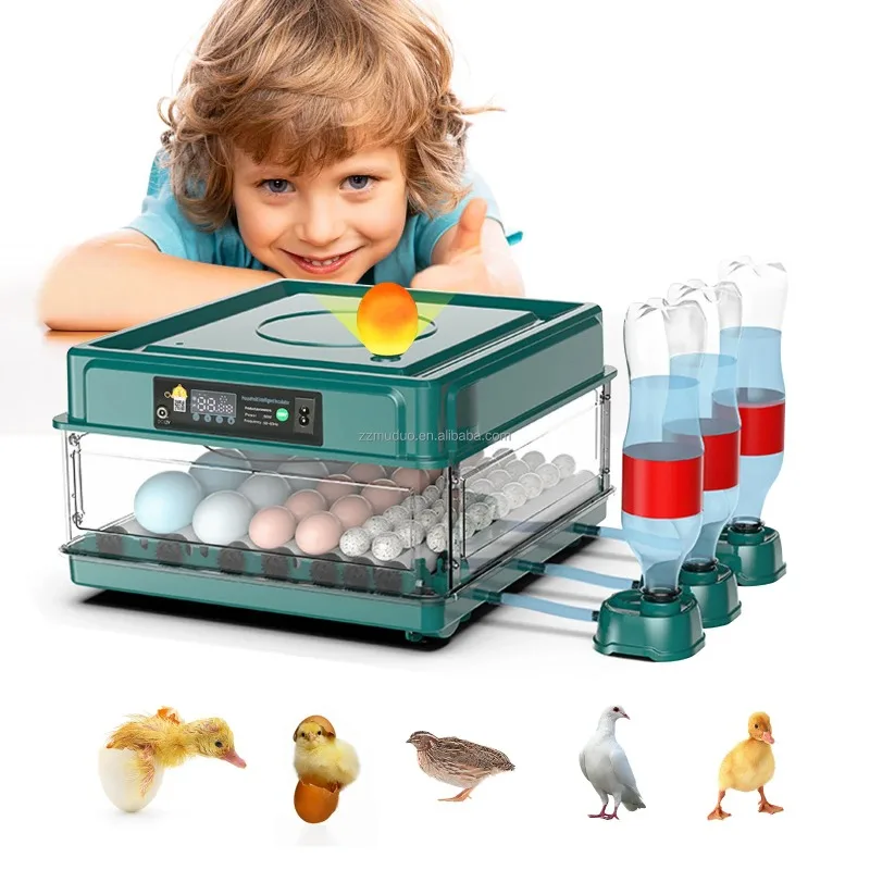 

12 Eggs Chicken Incubator and Hatcher Poultry Hatching Fully Automatic Incubators