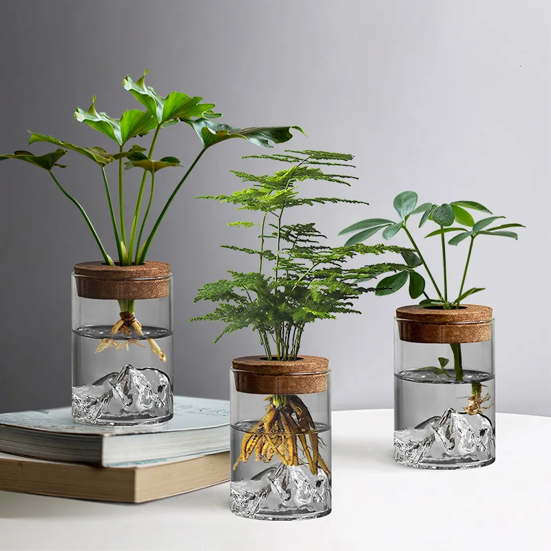 Hydroponic Plant Glass Vase Desktop Bonsai Green Plant Micro Landscape Ornament For Office Home Table Decor