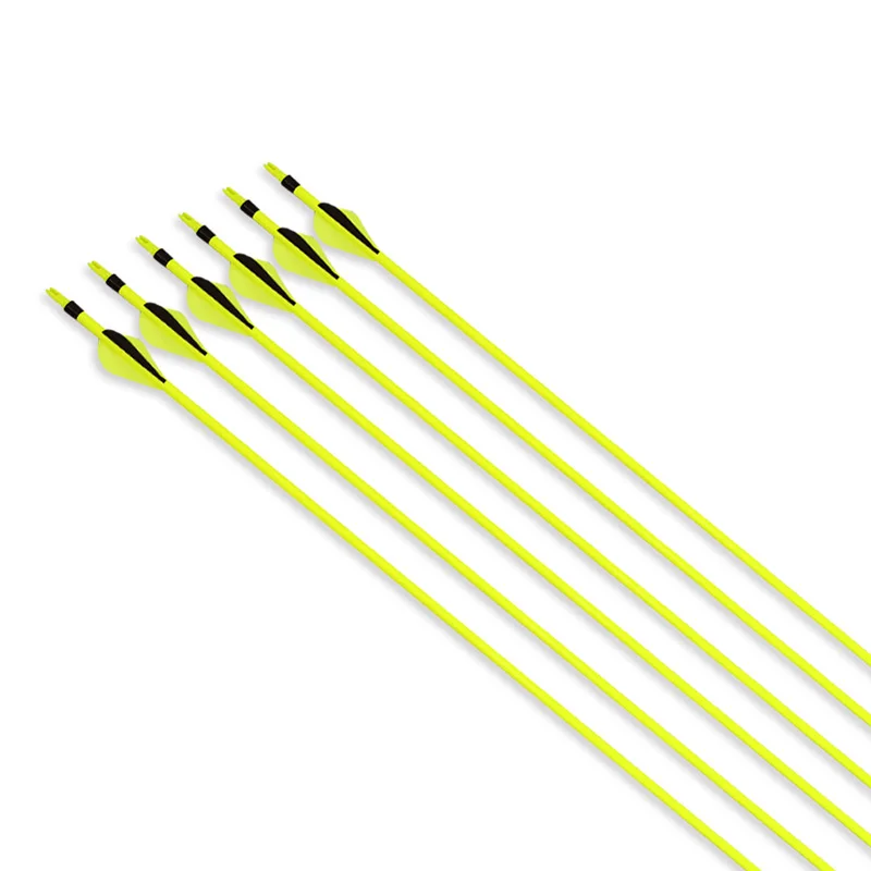 6/12pcs Archery Carbon Arrows 30inch Spine 500 2inch Rubber Feather 100gr Tips Recurve Compound Bow Hunting Shooting Accessories