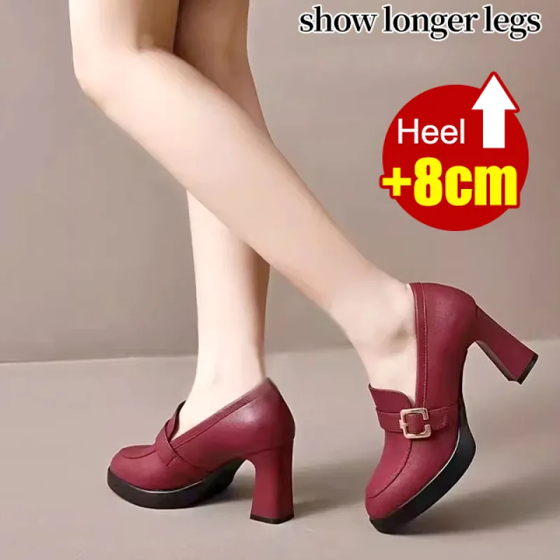 Women\'s Pointed Toe High Heels ThickSoled Chunky Heel Fashion Shoes for Spring Casual and comfortable