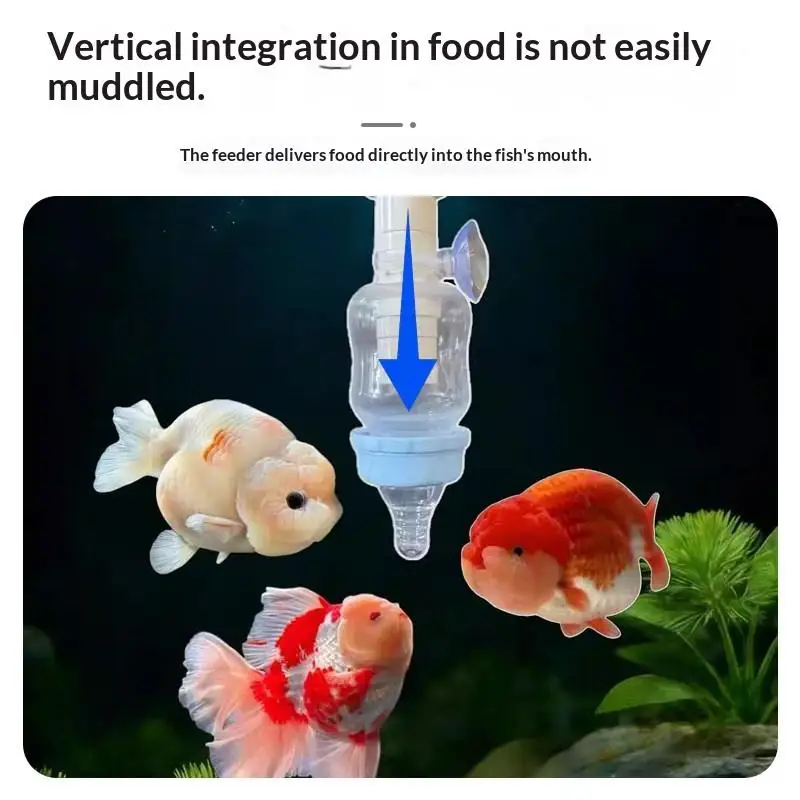 ~Precise Fish Pacifier Feeder Fixed Point Aquarium Feeding Tool No Turbid Water Fish Feeder For Small Fish Tank