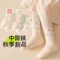 color01(5 pairs)