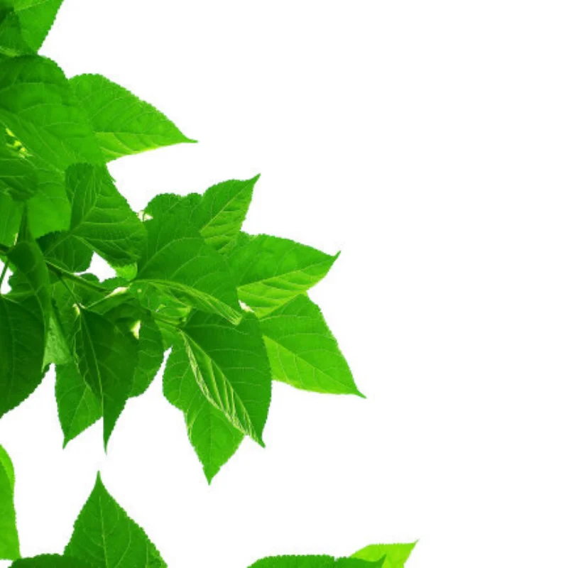 

WLtoys144016 144018 Remote Control Car 144016-2990 Differential Parts