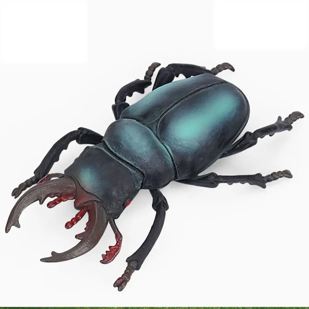 

Insect Figure Toy Spiders Simulated Insect Model Grasshopper Simulation Simulation Wildlife Model Cricket PVC Kids Toys