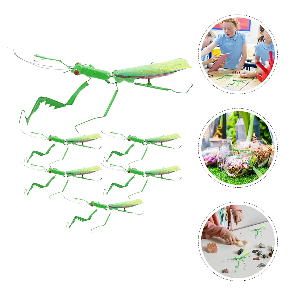 

6 Pcs High Simulation Insect Static Mantis Plaything The Animal Statue Ornament Decoration Abs Lawn