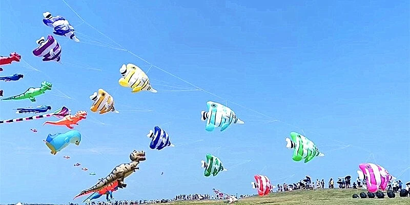 3.5m pesce aquilone ciondolo aquilone maniche a vento aquiloni gonfiabili giocattolo all'aperto sport per adulti drachen fliegen erwachsene kevlar seriale divertente