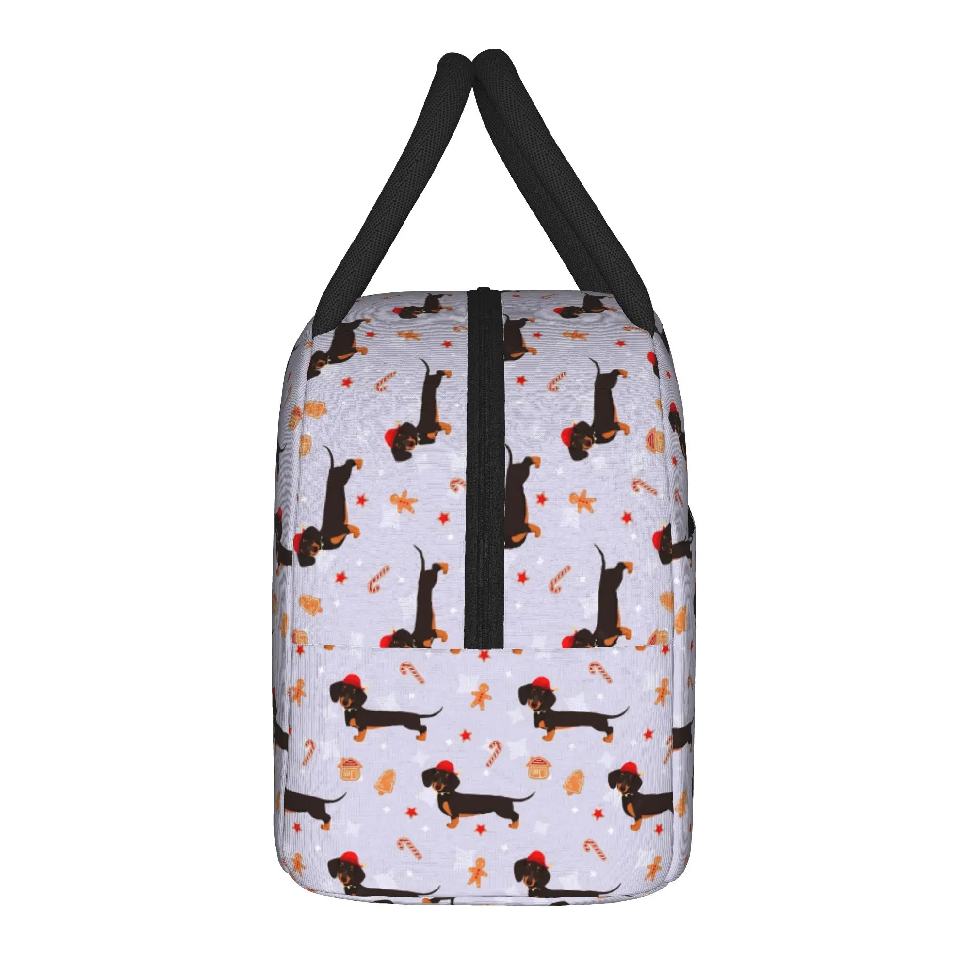 Dachshund Insulated Lunch Bag Cooler Bag Reusable,Lunch Container Dogs Animal High Capacity Tote Lunch Box Food Storage Bags