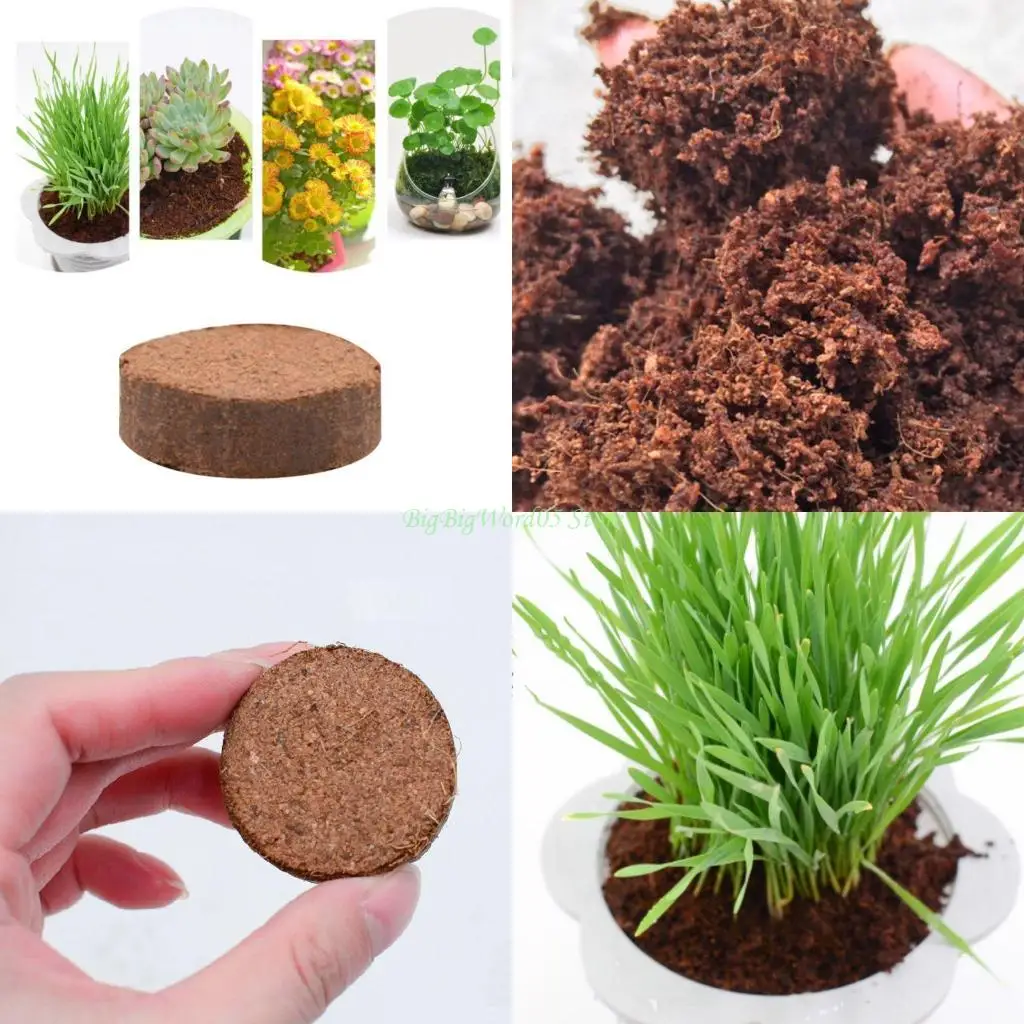 

24TE 5 шт. Натуральные кокосовые кирпичи Черепаха Эко Земля Домашнее садоводство Эко-субстрат