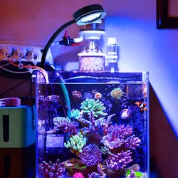 Mercan Coral akvaryum LED ışık ~ 100 V için 30 ~ 50CM deniz Reef tankı için deniz 240