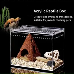 Caja de cría de reptiles acrílica transparente, terrario anfibio de araña, lagarto, hábitat para mascotas a prueba de fugas, carcasa de tarántula arboreal