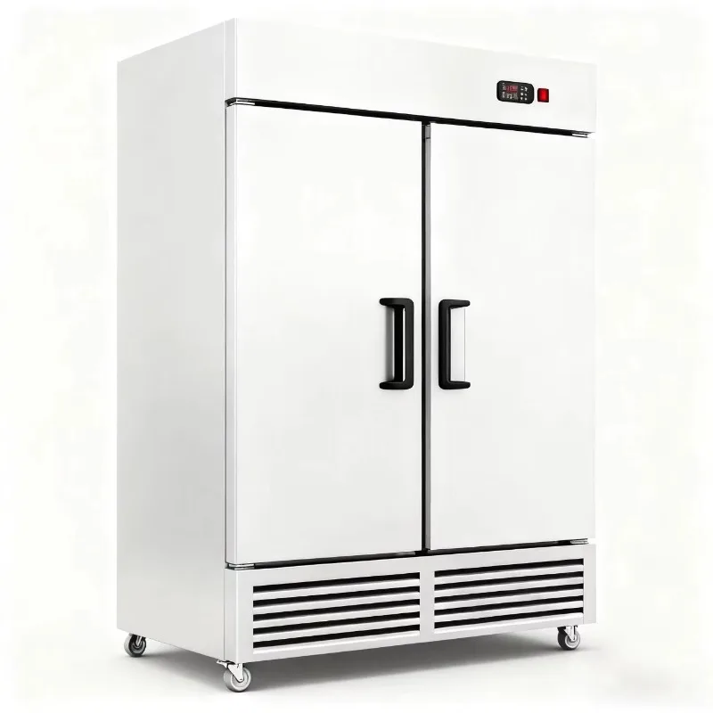 Commercial Vertical Stainless Steel Refrigerator/Freezer with Manual Defrost Single Temperature for Catering Canteen Kitchen Use