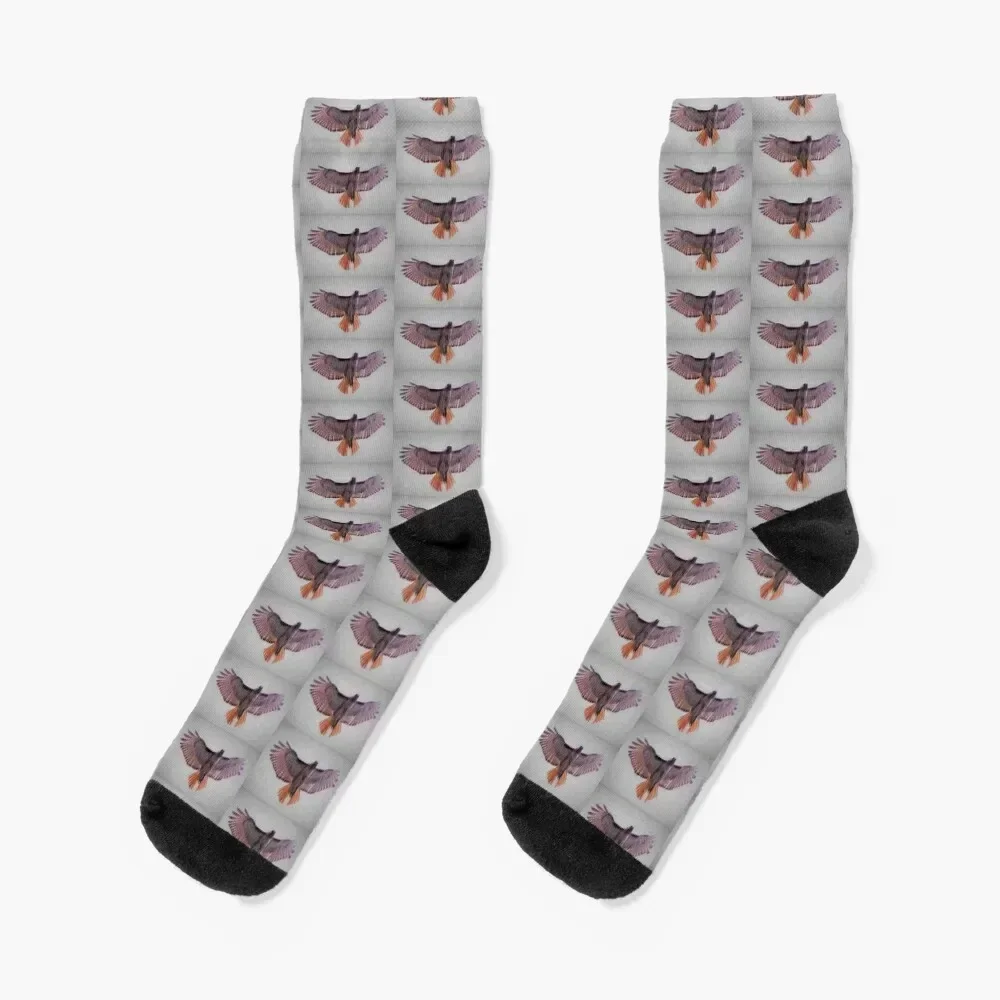 Purple Red-Tailed Hawk Socks sport hiphop Socks For Men Women's