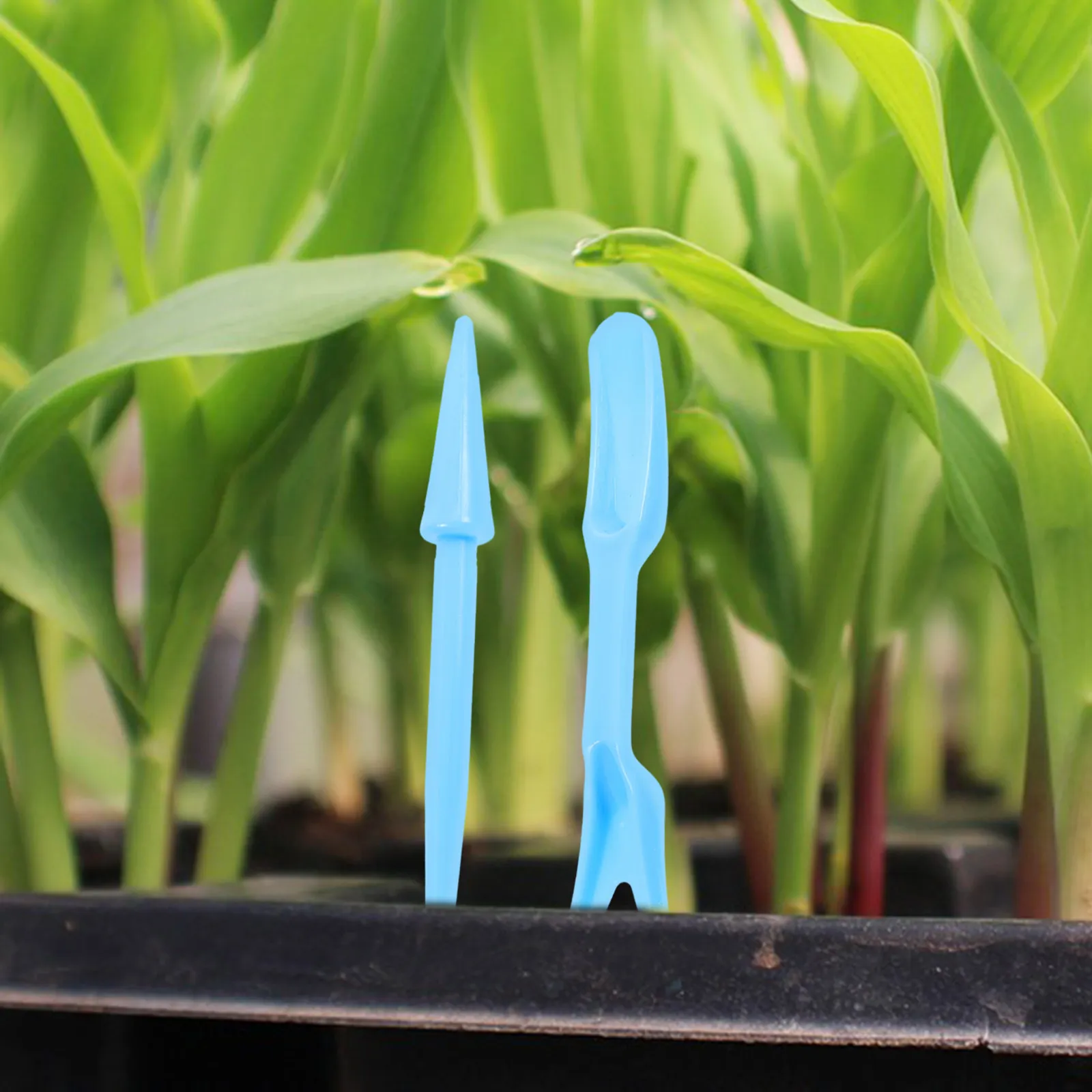 

12Sets Planting Tools Garden Work Supplies Multi-Functional Bonsai Tool Kit for Easy Flower Care and Growing Planting Tools