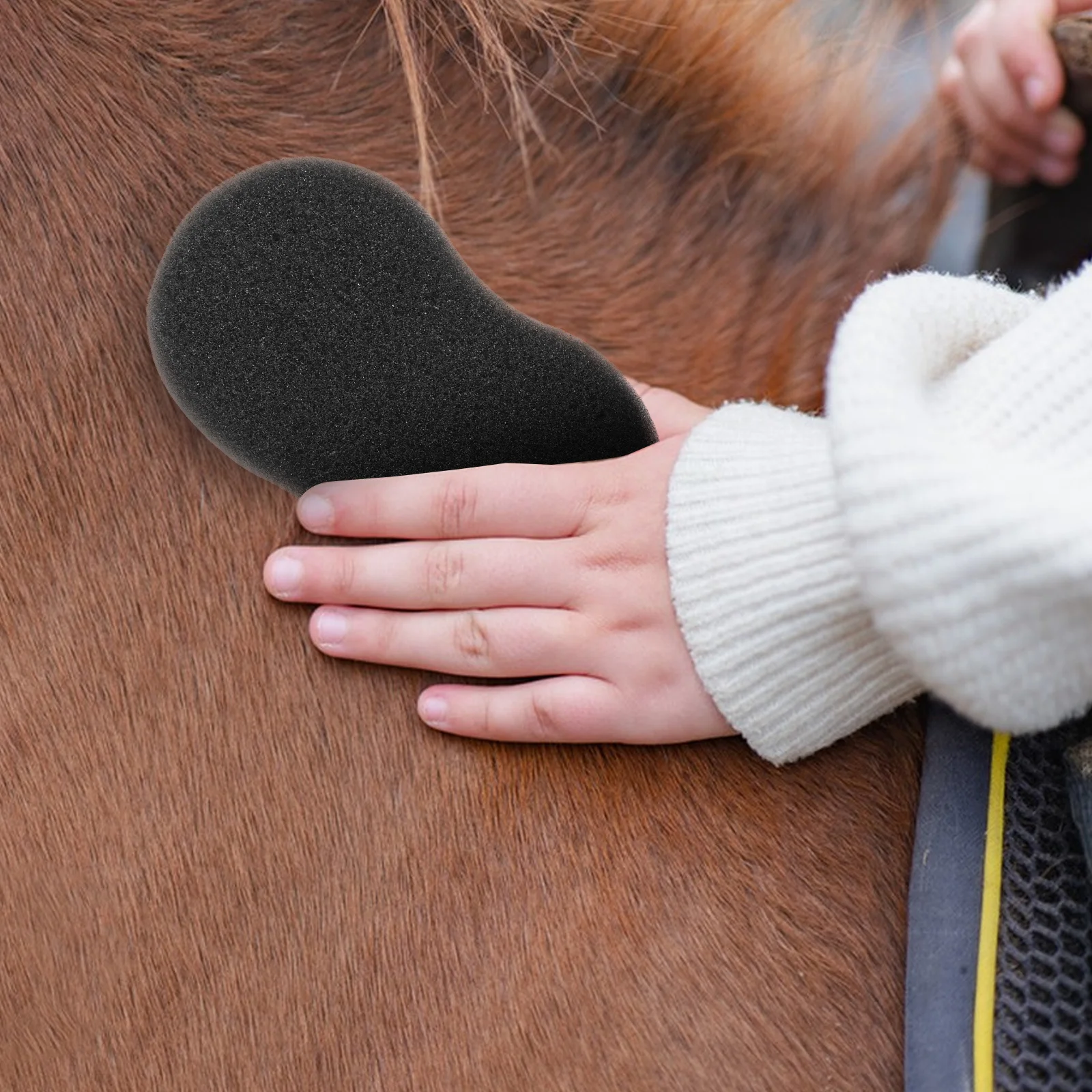 5 قطع من إسفنجات تنظيف الحصان، إسفنجة حمام ناعمة ماصة لمجموعة أدوات العناية بالحصان، سهلة التنظيف بعد إزالة العرق أثناء الركوب