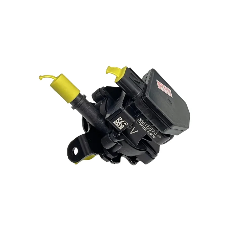 

Automotive Parts Evaporative Emission Carbon Canister Cleaning Pump OEM 12718569 55516874 55513205 55511871 EQUINOX1