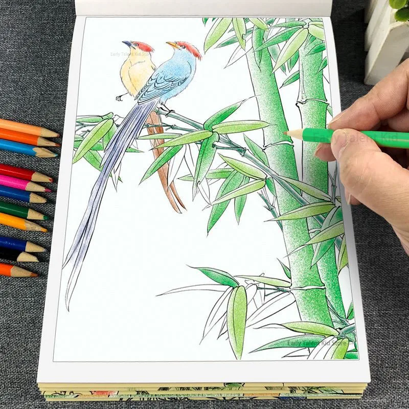 

Цветы, птицы и традиционная китайская живопись, тетрадь для начинающих для китайской живописи тушью, белый рисунок, копирование пейзажа