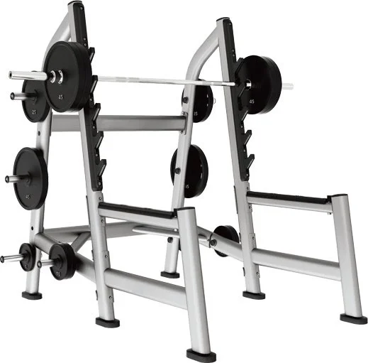 

Gym Fitness Machines Barbell Plate Storage Rack for Benches & Racks