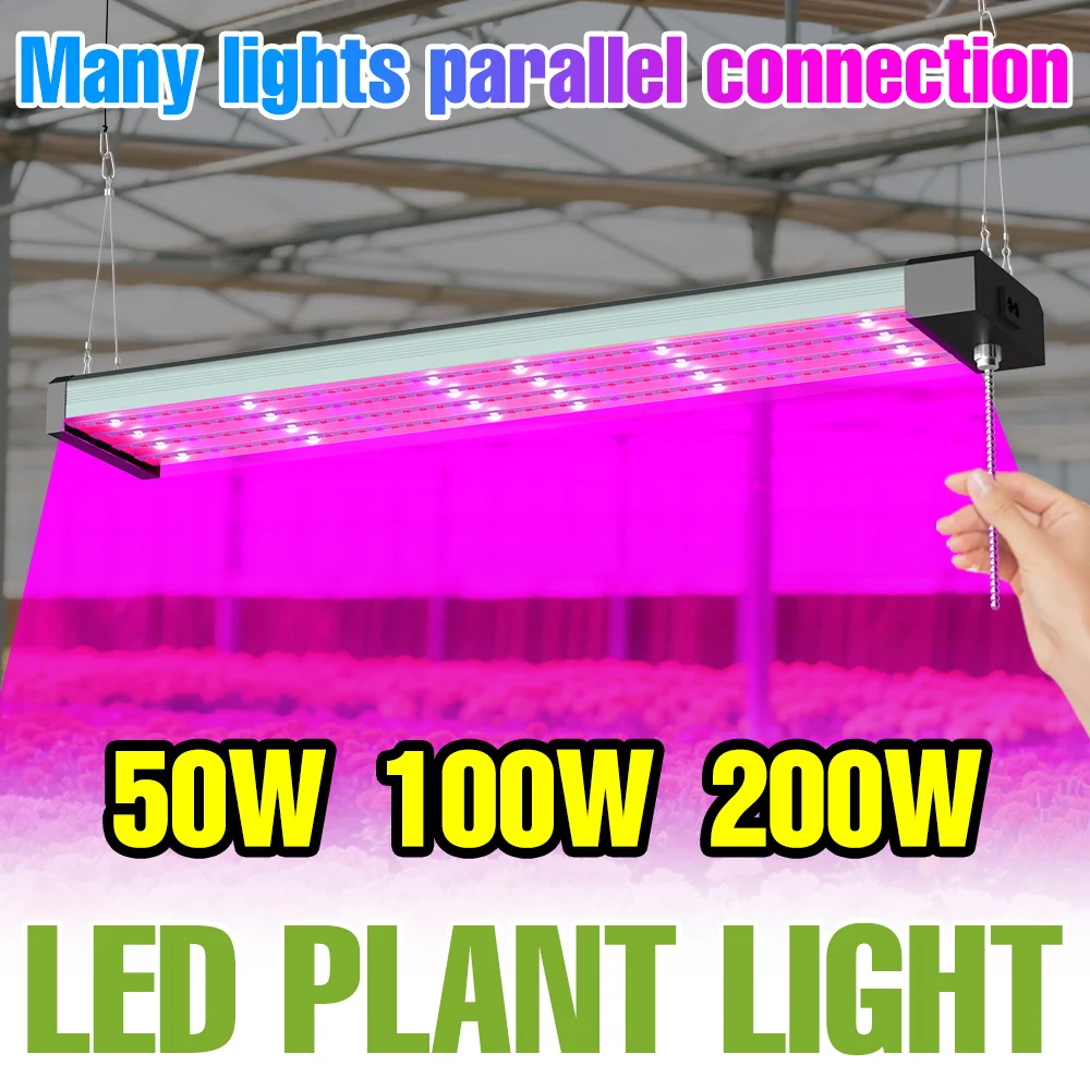 

Светодиодные лампы для выращивания растений, полный спектр, лампа для гидропоники комнатных растений, тепличная палатка, коробка для выращивания помидоров, овощей, заполняющее освещение