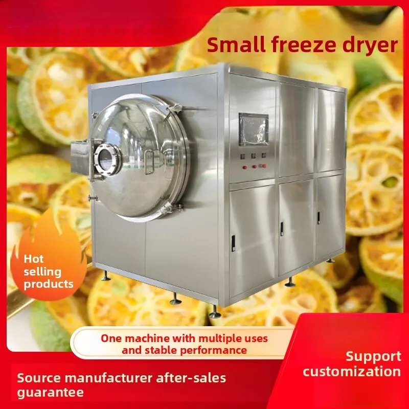 

Multifunctional Intelligent Control Screen Commercial Experimental Small Production Vacuum Freeze Dryer Equipment