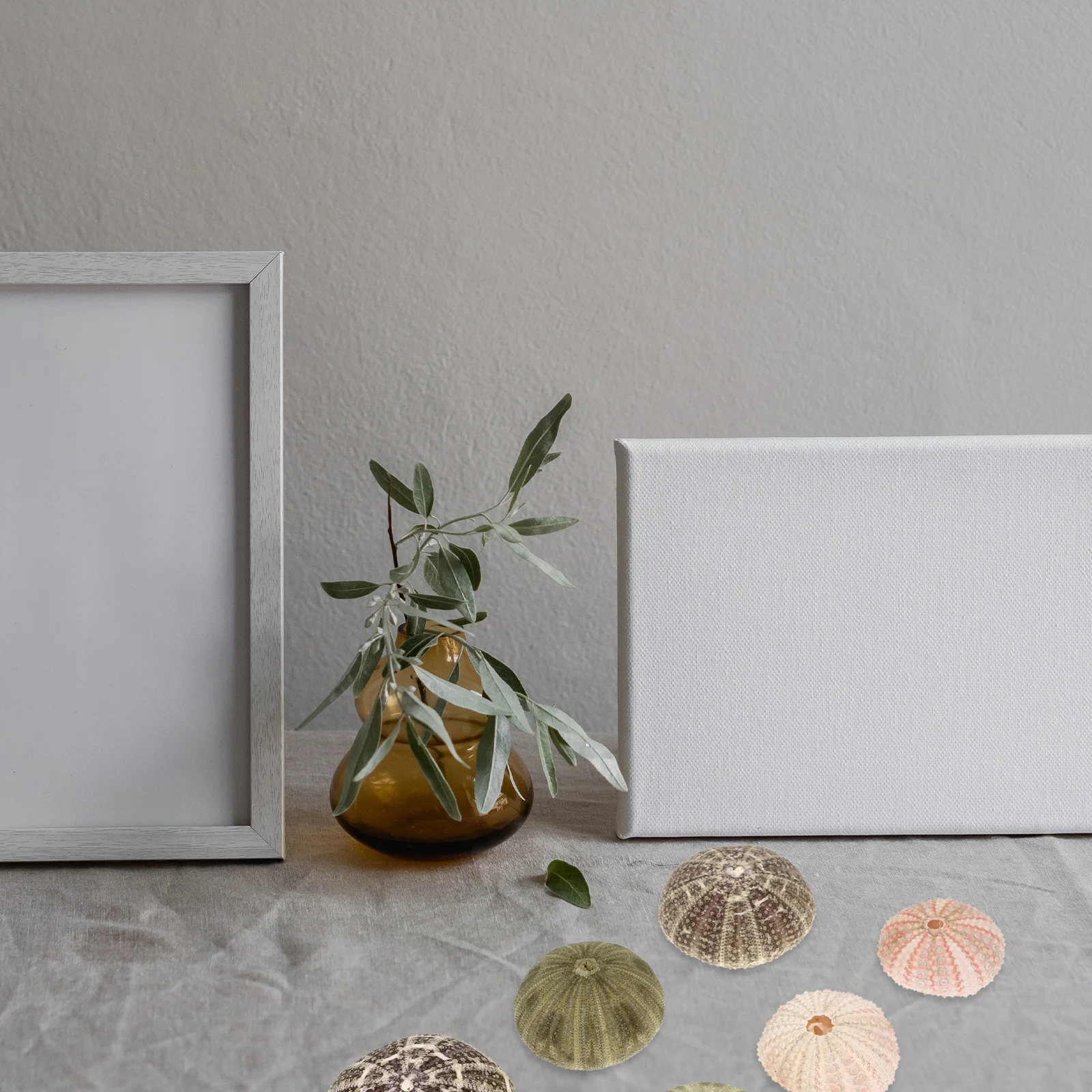 

6Pcs Sea Urchin Shell Air Plant Pot Natural Shell Planter DIY Craft Supply Fish Tank Aquarium Landscape Decor Sea Urchin Decor